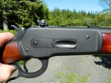 Winchester 71 converted to 450 Alaskan - 6 of 12