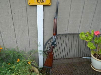 Winchester model 71 converted to 450 Alaskan - Image 1 of 9