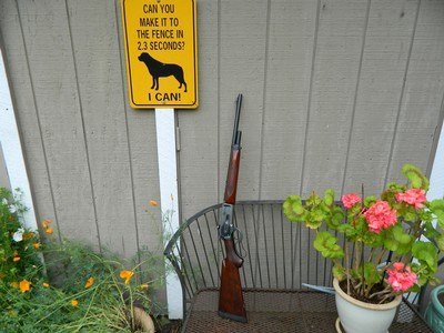 Winchester model 71 converted to 450 Alaskan - Image 2 of 9