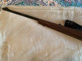 Winchester Model 70 pre 64 243 standard weight - 7 of 8