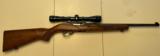 Ruger Model 10-22 .22 LR rifle with a Bushnell Scope - 1 of 3