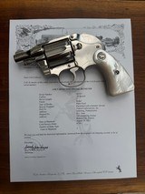 Colt Detective Special Factory Nickel/Pearl/Shroud - 1 of 10