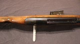1961 Winchester Model 88 - .243 Win (Pre-64) - 8 of 14