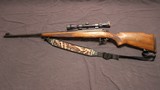 1951 Winchester M70 Standard - 8 of 15