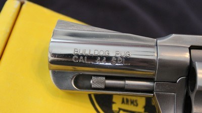 Charter Arms Bulldog Pug - Image 9 of 10