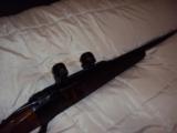 Ruger No. 1 in 7mm Remington Magnum, Custom Stock , free floated forearm - 6 of 8