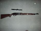 Remington Nylon 66 W/bushnell 4X scope - 1 of 4