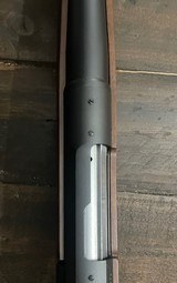 Browning Abolt 12 gauge - 14 of 15