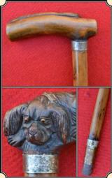 Expertly carved Water Spaniel walking stick.
- 5 of 5