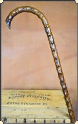 Handsome Original Blackthorn cane - 4 of 7