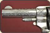 Fully engraved FOREHAND AND WADSWORTH Double Action , .38 cal. - 9 of 17