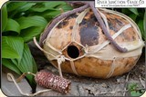 Authentic Gourd Canteen - 4 of 6