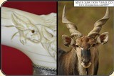 (Make Offer) 19th century ivory Wild Boar head Cane - 10 of 15