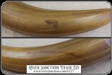 Large Antique Powder Horn - 7 of 10