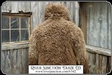 Buffalo Hide Coat - 8 of 17