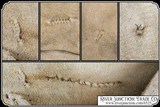 Double Breasted Cree Indian Trappers Coat - 14 of 25