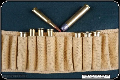 Web Bandolier for .45/70 Rounds - Image 6 of 8