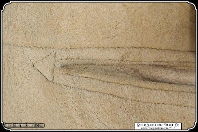 Museum Quality Original Indian Wars Cavalry Officers Brain Tanned Elk Hide Trousers - Image 14 of 19