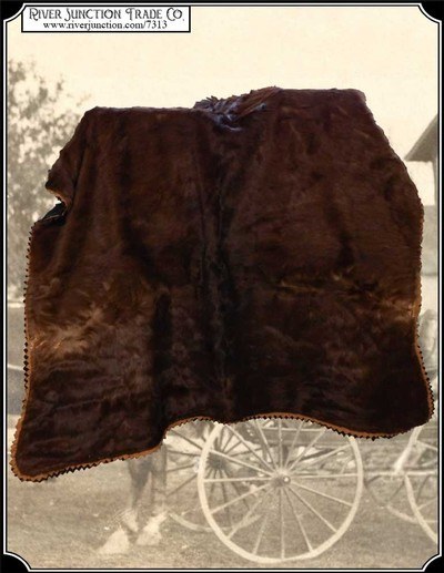 Antique Hair on Hide Horse Hide Lap Robe