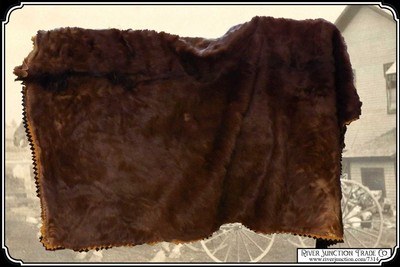 Antique Hair on Hide Horse Hide Lap Robe - Image 3 of 11