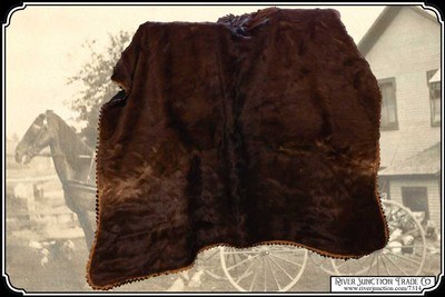Antique Hair on Hide Horse Hide Lap Robe - Image 2 of 11