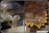 Antique Hair on Hide Horse Hide Lap Robe - 7 of 11