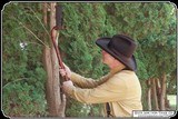 Homesteader anti-deer apple tree trimmer and TIPI pole trimmer - 2 of 18