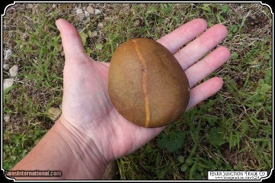 Hammer Stone/Biscuit Discoidal. - Image 5 of 7