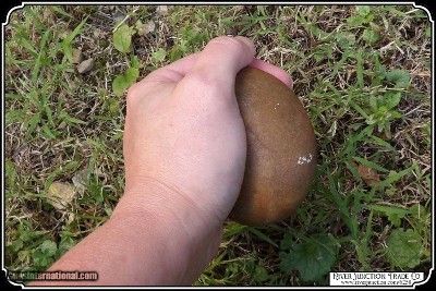 Hammer Stone/Biscuit Discoidal. - Image 3 of 7
