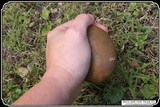 Hammer Stone/Biscuit Discoidal. - 3 of 7