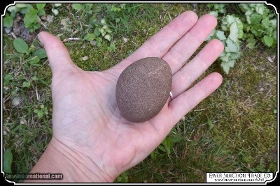 Bola stone also called egg stones - Image 4 of 6