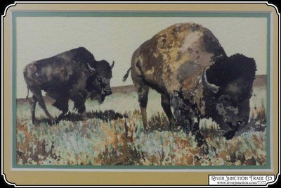 Grazing Bison Watercolor by Patrycia Ann Herndon in 1978 - Image 3 of 6