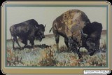 Grazing Bison Watercolor by Patrycia Ann Herndon in 1978 - 3 of 6