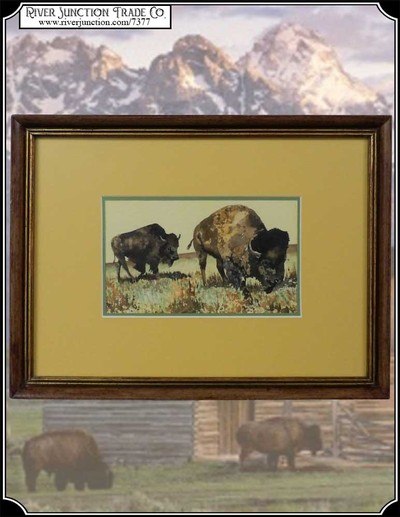 Grazing Bison Watercolor by Patrycia Ann Herndon in 1978