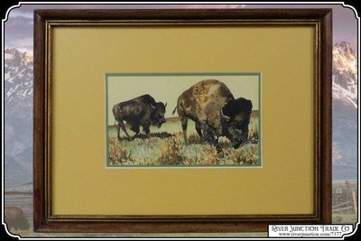 Grazing Bison Watercolor by Patrycia Ann Herndon in 1978 - Image 2 of 6