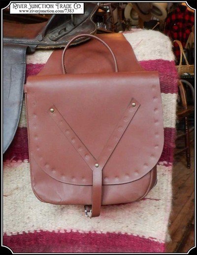 Saddlebags with hand carry handles