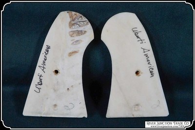 Smooth Uberti Smith and Wesson American Model 3 Bone Grips RJT# 7406 - Image 6 of 7