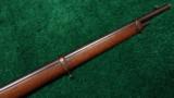 WINCHESTER MODEL 1892 MUSKET - 7 of 12