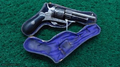 EUROPEAN PINFIRE IN A PIPE CASE