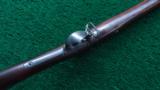 EARLY SPRINGFIELD MODEL 1873 - 3 of 12