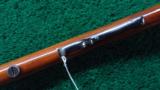 WINCHESTER 1902 SINGLE SHOT RIFLE - 10 of 16