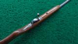 WINCHESTER COOEY MARKED SINGLE SHOT BOLT ACTION RIFLE - 3 of 13