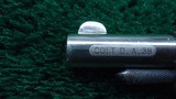 COLT 1877 SHERIFFS MODEL WITH VERY SCARCE 2-1/2 INCH BARREL - 6 of 11