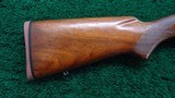 WINCHESTER MODEL 54 BOLT ACTION RIFLE - 19 of 21