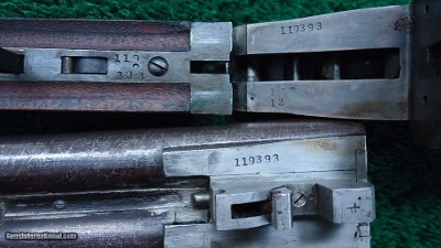 ITHACA LEWIS MODEL 12 GAUGE SxS SHOTGUN - Image 14 of 20