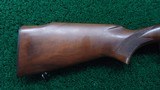 WINCHESTER MODEL 70 PRE-64 VARMINT RIFLE IN CALIBER 220 SWIFT - 18 of 20