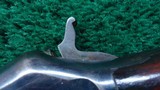 SMALL FRAME COLT PUMP ACTION RIFLE IN CALIBER 22 - 14 of 21