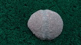 PORTION OF A LARGE STONE HAMMER - 1 of 6