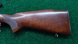 WINCHESTER PRE-64 MODEL 70 BOLT ACTION RIFLE IN .30-06 SPRG. - 13 of 17