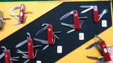 VERY INTERESTING AND UNIQUE FACTORY DISPLAY BOARD WITH 27 SWISS ARMY KNIVES - 6 of 7